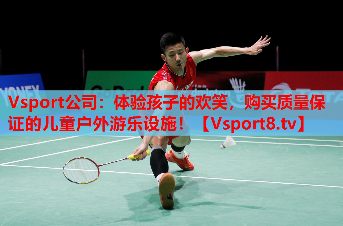 Vsport公司：體驗(yàn)孩子的歡笑，購(gòu)買質(zhì)量保證的兒童戶外游樂(lè)設(shè)施！