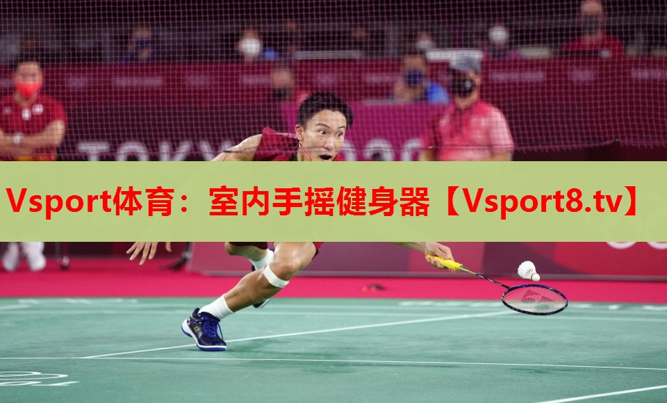 Vsport體育：室內手搖健身器