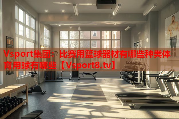 Vsport集團：比賽用籃球器材有哪些種類體育用球有哪些