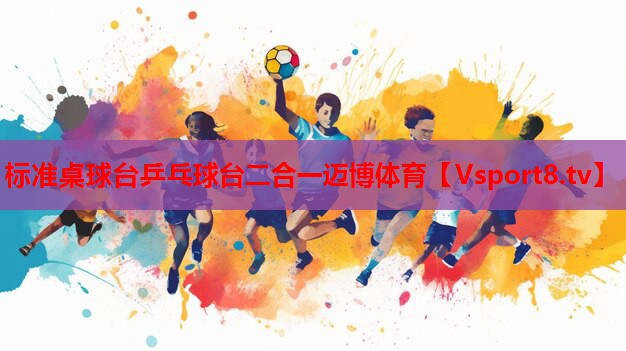 標準桌球臺乒乓球臺二合一邁博體育