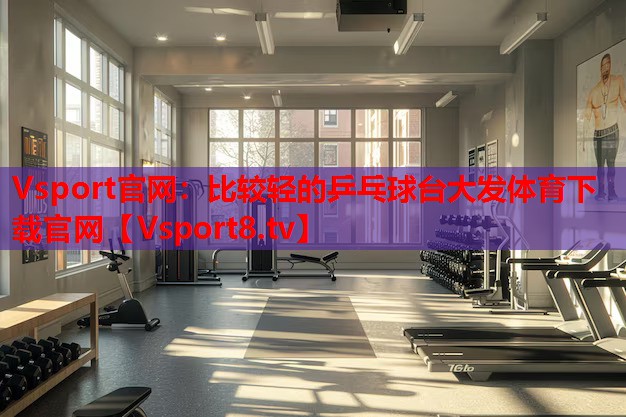Vsport官網：比較輕的乒乓球臺大發(fā)體育下載官網